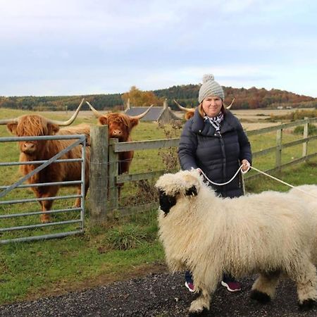 Villa Glampods Glamping Pod - Meet Highland Cows And Sheep Elgin Exterior foto